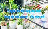 Y Nghia Cua Viec Tang Cay Xanh Dip Cuoi Nam