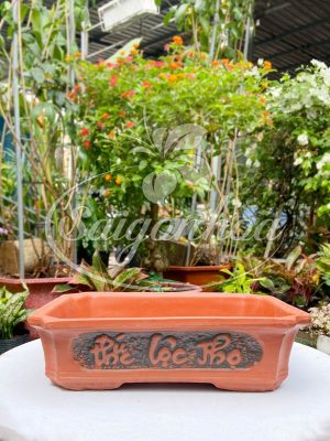 Chậu Đất Nung Chữ Nhật Phúc Lộc Thọ L2