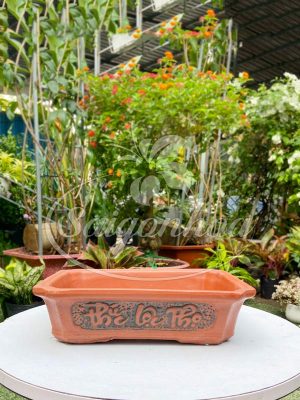Chậu Đất Nung Chữ Nhật Phúc Lộc Thọ L3
