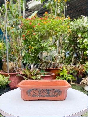 Chậu Đất Nung Chữ Nhật Phúc Lộc Thọ L4