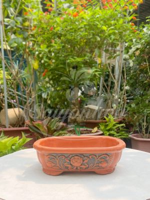 Chậu Đất Nung Ovan Hoa Sen L3