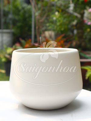 Chậu Sứ Kim Cương Trung