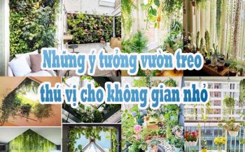 Nhung Y Tuong Vuon Treo Thu Vi Cho Khong Gian Nho