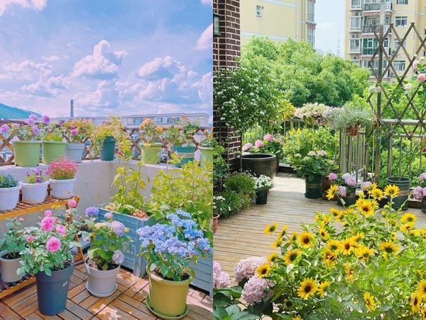 Thiết kế không gian xanh cho nhà phố