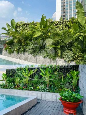 Bồn Cây Nhiệt Đới Penthouse