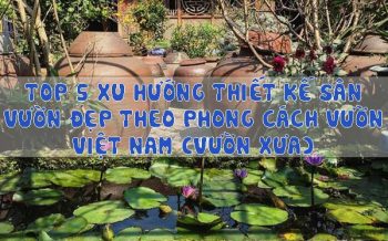 Xu Huong Thiet Ke San Vuon Dep