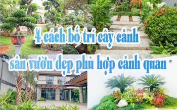 Bo Tri Cay Canh San Vuon Dep