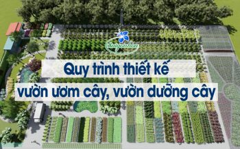 Quy Trinh Thiet Ke Vuon Uom