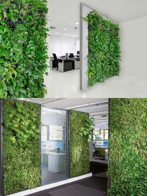 Tường Cây Dọc Lối Đi