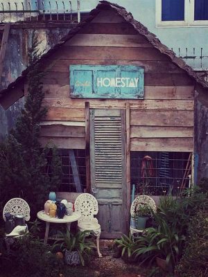 Ý tưởng thiết kế sân vườn homestay