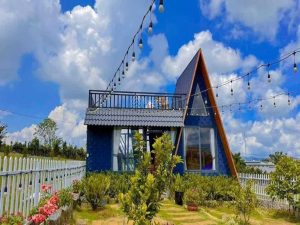 Ý tưởng thiết kế sân vườn homestay