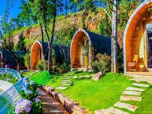 Ý tưởng thiết kế sân vườn homestay