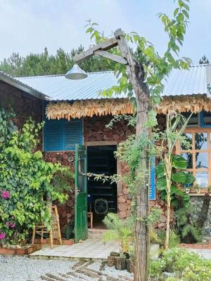 Ý tưởng thiết kế sân vườn homestay