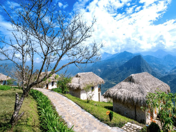 Xu hướng thiết kế sân vườn homestay