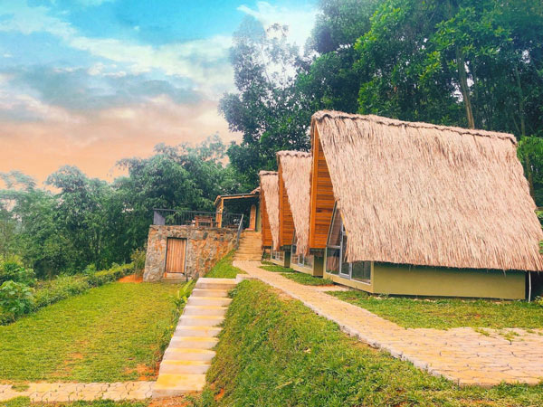 Xu hướng thiết kế sân vườn homestay