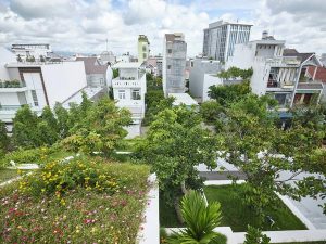 Thiết kế vườn trên mái