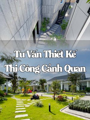 Tư Vấn Thiết Kế Và Thi Công Cảnh Quan