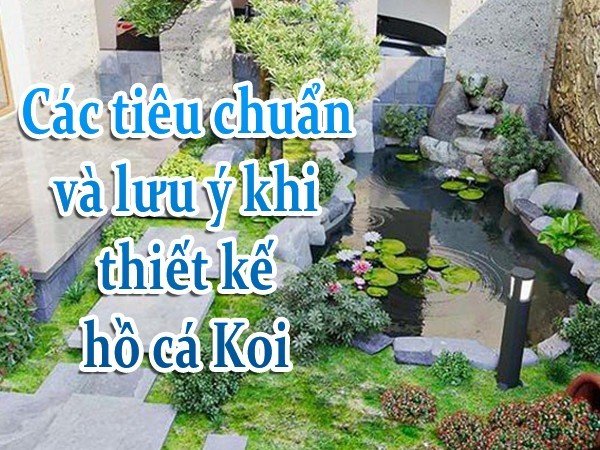 Thiết kế hồ cá Koi