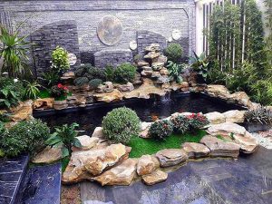 Thiết kế hồ cá Koi