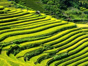 Tìm hiểu về kiến trúc cảnh quan không giới hạn