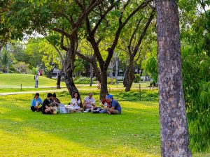 Tiêu chuẩn thiết kế công viên