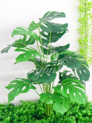 Cây Trầu Bà Nam Mỹ Giả Trang Trí