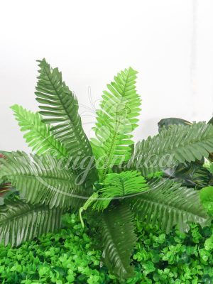 Cây Dương Xỉ Giả Trang Trí