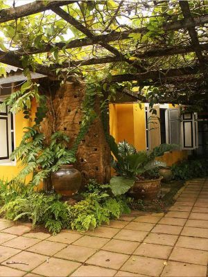 thiết kế sân vườn bên hông nhà