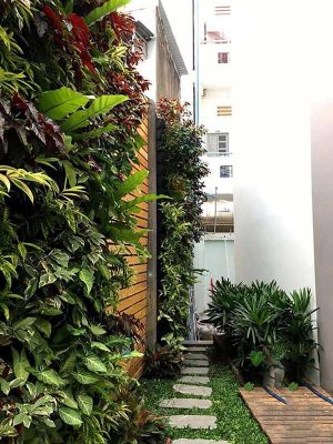 thiết kế sân vườn bên hông nhà