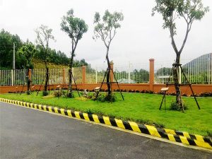 Thiết kế cảnh quan nhà máy