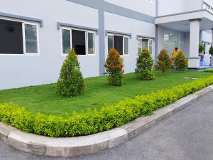 Thiết kế cảnh quan nhà máy