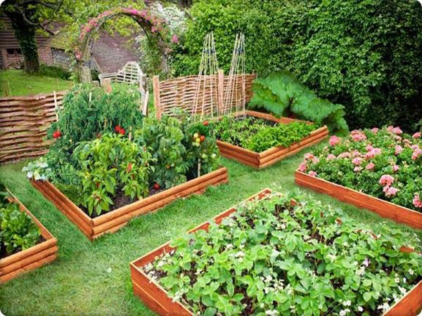 Ý tưởng thiết kế vườn rau thành cảnh quan