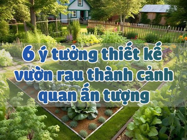 Ý tưởng thiết kế vườn rau thành cảnh quan