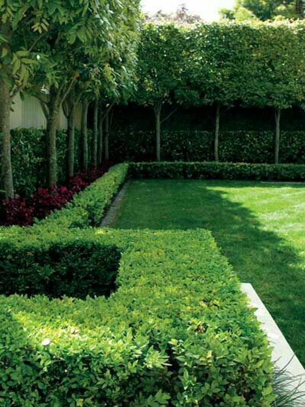 Thiết kế sân vườn phong cách tối giản