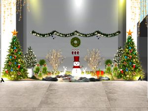 Cây Tùng Búp-Cây Tùng Bút-Cây Thông Noel