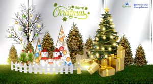 Ưu đãi tư vấn thiết kế trang trí tiểu cảnh giáng sinh, lễ tết 2024