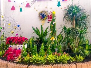 Ưu đãi tư vấn thiết kế trang trí tiểu cảnh giáng sinh, lễ tết 2024