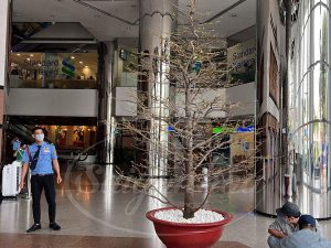 Dịch vụ cho thuê mai Tết Xuân Giáp Thìn 2024