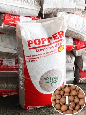 Viên Đất Nung Popper Size L