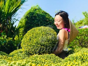 Bảng giá hoa cảnh tết Giáp Thìn 2024