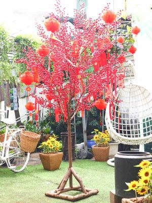 Cây Đào Đông Trang Trí Tết