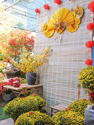 Concept Trang Trí Tết Nắng Xuân