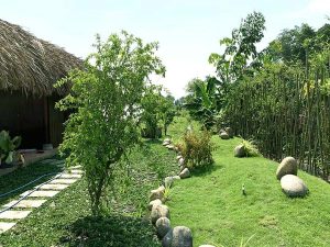 Tiểu cảnh đồi cỏ
