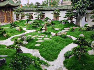 Tiểu cảnh đồi cỏ