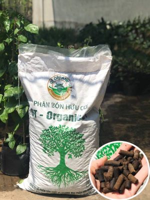 Phân Bón Hữu Cơ QT – Organic 01