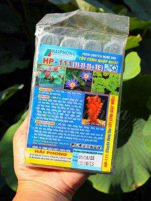 Phân Bón Cho Cây Cảnh Ngập Nước HP – 111