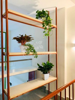 Chậu Nhựa Vuông Đan Mây 15