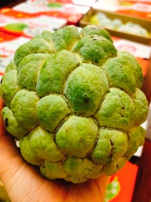 Cây Mãng Cầu Na Đài Loan