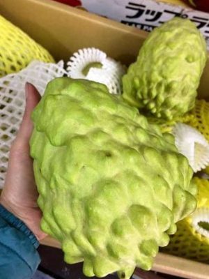 Cây Mãng Cầu Na Đài Loan