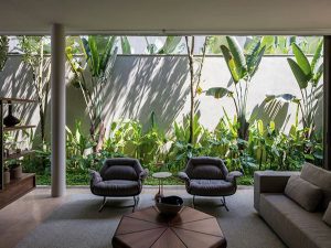 Thiết kế không gian xanh cho nhà phố